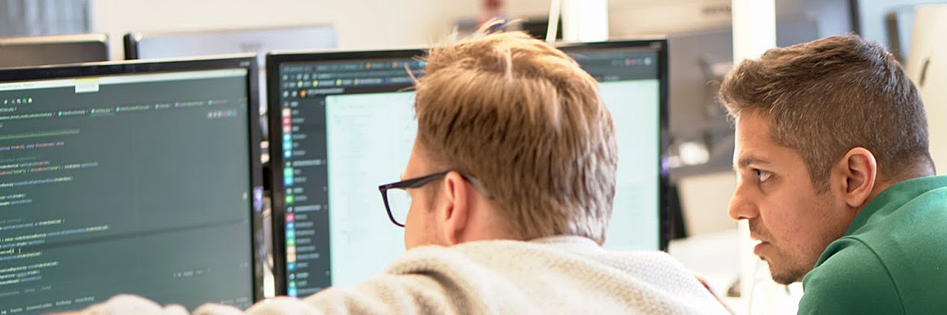 Webentwickler bei der gemeinsamen Arbeit